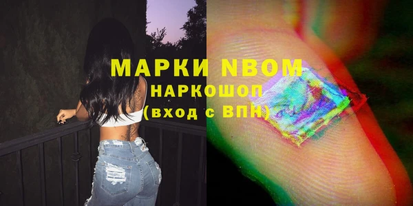 стаф Дмитров