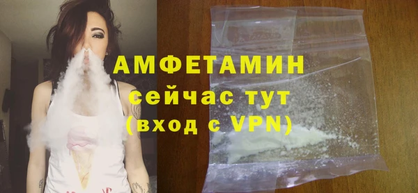 индика Гусь-Хрустальный