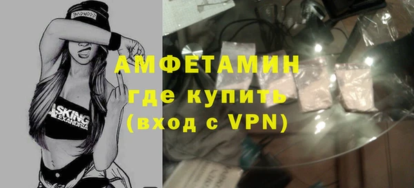 индика Гусь-Хрустальный
