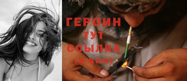 стаф Дмитров