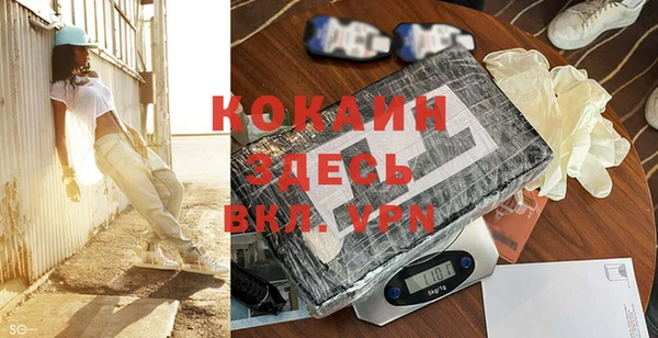 индика Гусь-Хрустальный
