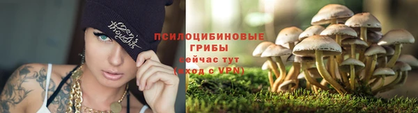 индика Гусь-Хрустальный