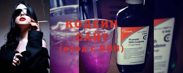 индика Гусь-Хрустальный