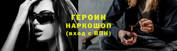 индика Гусь-Хрустальный