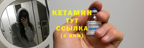 стаф Дмитров