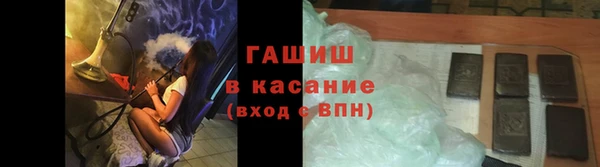 стаф Дмитров
