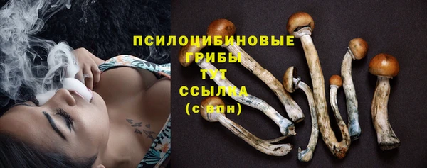 прущий лед Гусев
