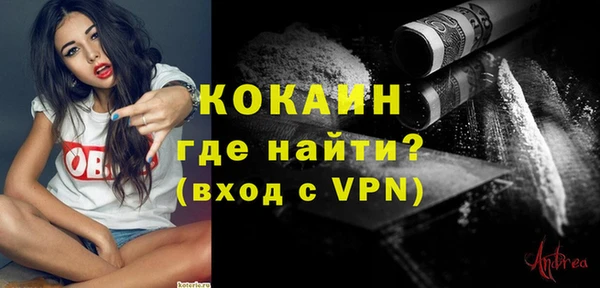 индика Гусь-Хрустальный