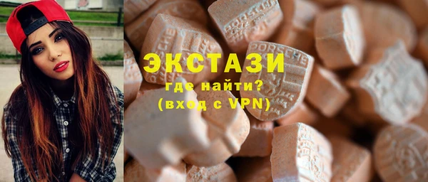индика Гусь-Хрустальный