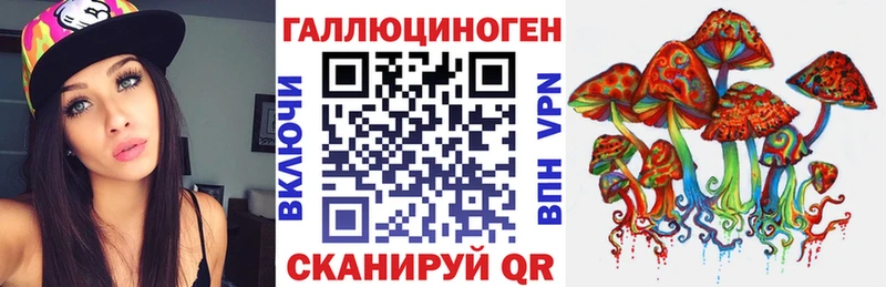 Галлюциногенные грибы Psilocybe Кувандык