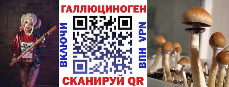 Галлюциногенные грибы мицелий  Купить  Кувандык 