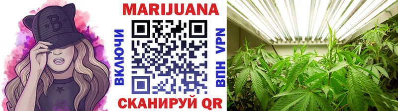 Купить  Кувандык  Канабис AK-47 